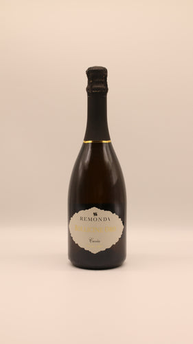 Eine dunkle Glasflasche Salvano Bollicine Oro Extra Dry Spumante 0,75L steht aufrecht vor einem hellen Hintergrund, mit einem goldverzierten Etikett und einem in Folie eingewickelten Deckel - ein eleganter Aperitif aus Treviso, Venetien.