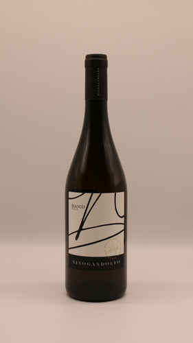 Bianco di Sicilia 2024 von Nino Gandolfo – trockener sizilianischer Weißwein mit fruchtigen Noten, elegante Flasche mit minimalistischem Design